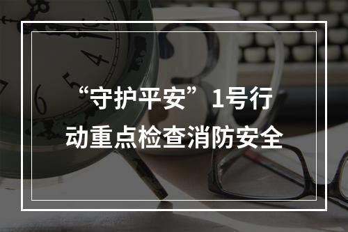 “守护平安”1号行动重点检查消防安全