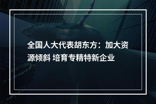 全国人大代表胡东方：加大资源倾斜 培育专精特新企业
