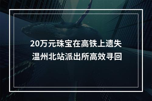 20万元珠宝在高铁上遗失 温州北站派出所高效寻回
