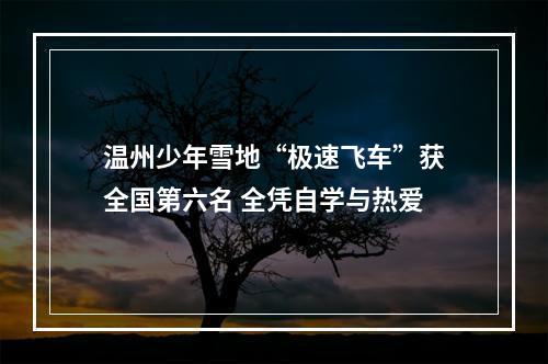 温州少年雪地“极速飞车”获全国第六名 全凭自学与热爱