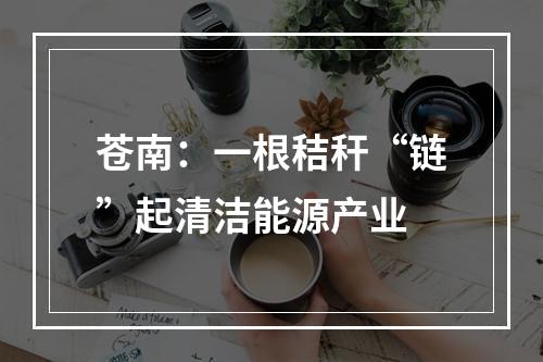 苍南：一根秸秆“链”起清洁能源产业