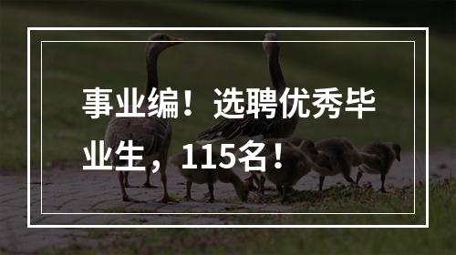 事业编！选聘优秀毕业生，115名！