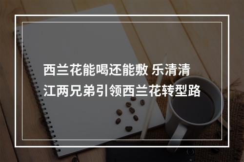 西兰花能喝还能敷 乐清清江两兄弟引领西兰花转型路