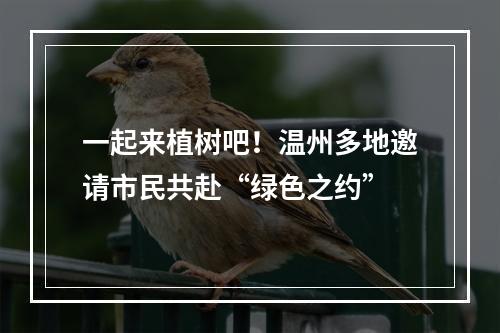 一起来植树吧！温州多地邀请市民共赴“绿色之约”