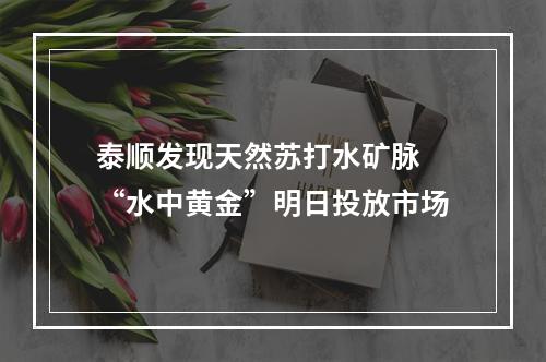 泰顺发现天然苏打水矿脉 “水中黄金”明日投放市场