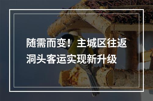 随需而变！主城区往返洞头客运实现新升级