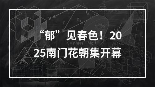 “郁”见春色！2025南门花朝集开幕