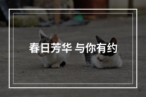 春日芳华 与你有约