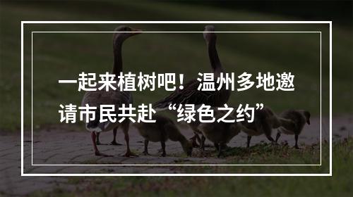 一起来植树吧！温州多地邀请市民共赴“绿色之约”
