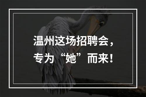 温州这场招聘会，专为“她”而来！