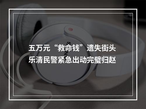 五万元“救命钱”遗失街头 乐清民警紧急出动完璧归赵