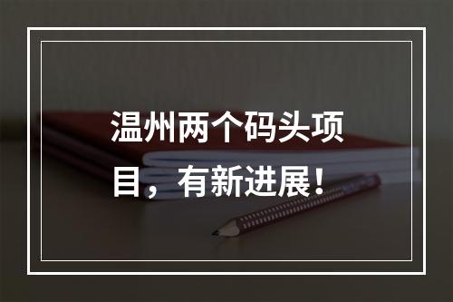 温州两个码头项目，有新进展！