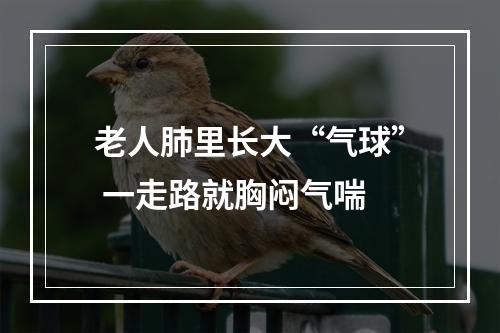 老人肺里长大“气球” 一走路就胸闷气喘