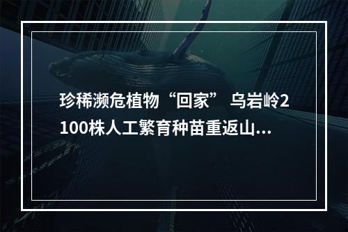珍稀濒危植物“回家” 乌岩岭2100株人工繁育种苗重返山林
