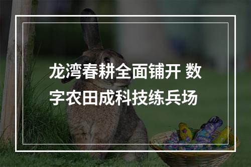 龙湾春耕全面铺开 数字农田成科技练兵场