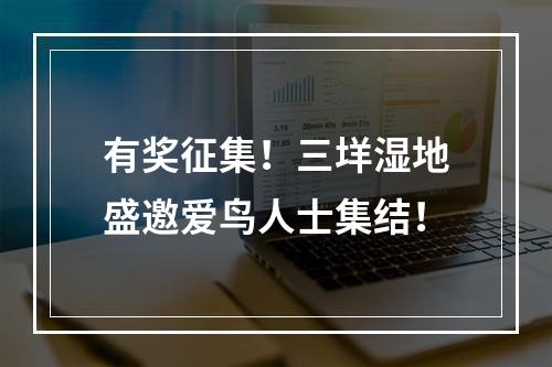 有奖征集！三垟湿地盛邀爱鸟人士集结！