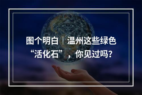 图个明白｜温州这些绿色“活化石”，你见过吗？