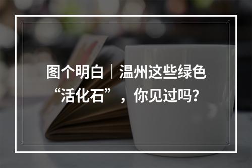 图个明白｜温州这些绿色“活化石”，你见过吗？