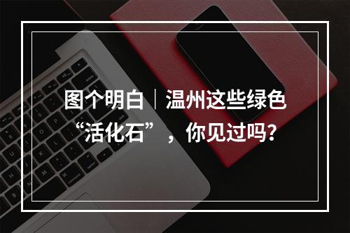 图个明白｜温州这些绿色“活化石”，你见过吗？