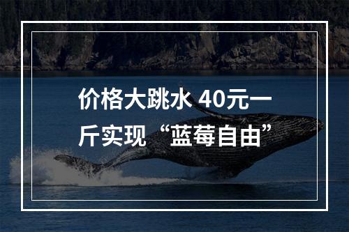 价格大跳水 40元一斤实现“蓝莓自由”