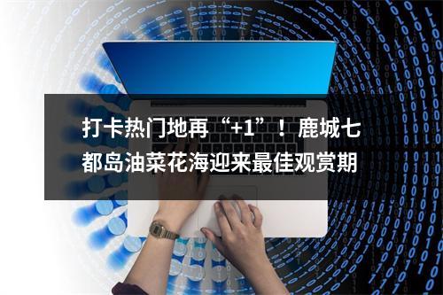 打卡热门地再“+1”！鹿城七都岛油菜花海迎来最佳观赏期