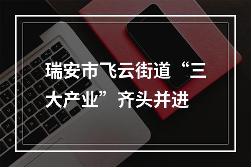 瑞安市飞云街道“三大产业”齐头并进