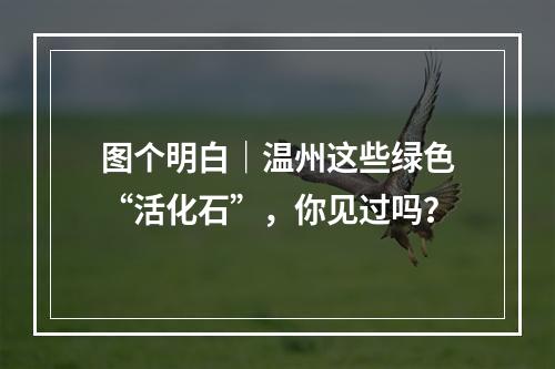 图个明白｜温州这些绿色“活化石”，你见过吗？