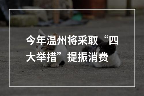 今年温州将采取“四大举措”提振消费
