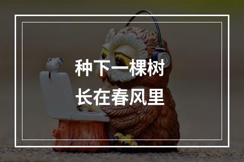 种下一棵树 长在春风里