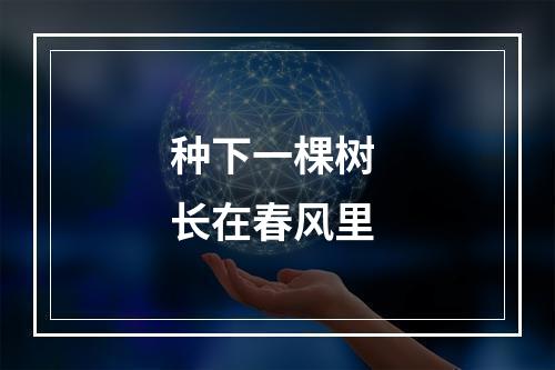 种下一棵树 长在春风里