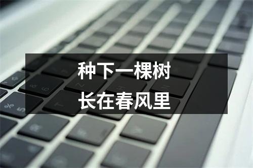 种下一棵树 长在春风里