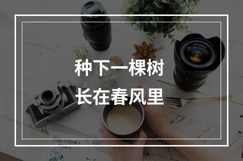 种下一棵树 长在春风里