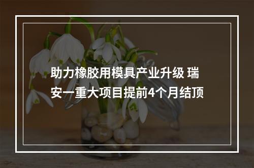 助力橡胶用模具产业升级 瑞安一重大项目提前4个月结顶