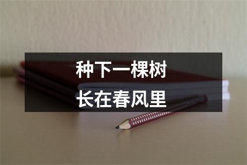 种下一棵树 长在春风里