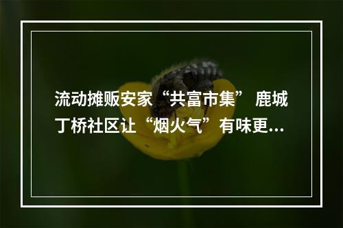 流动摊贩安家“共富市集” 鹿城丁桥社区让“烟火气”有味更有序