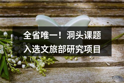 全省唯一！洞头课题入选文旅部研究项目