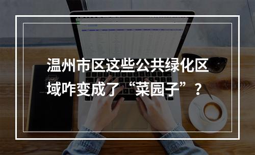 温州市区这些公共绿化区域咋变成了“菜园子”？
