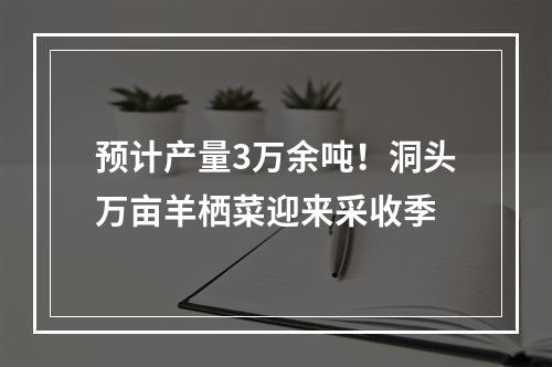预计产量3万余吨！洞头万亩羊栖菜迎来采收季