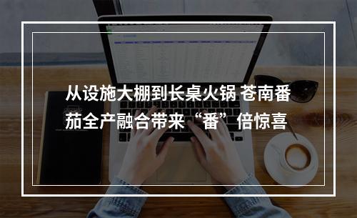 从设施大棚到长桌火锅 苍南番茄全产融合带来“番”倍惊喜