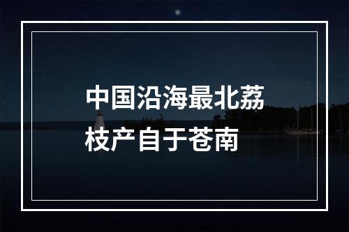 中国沿海最北荔枝产自于苍南