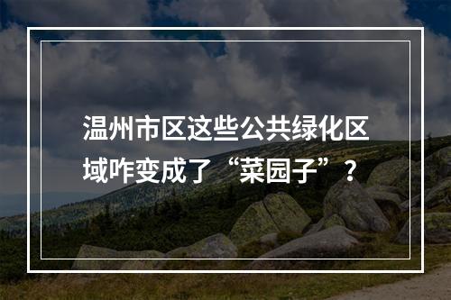 温州市区这些公共绿化区域咋变成了“菜园子”？