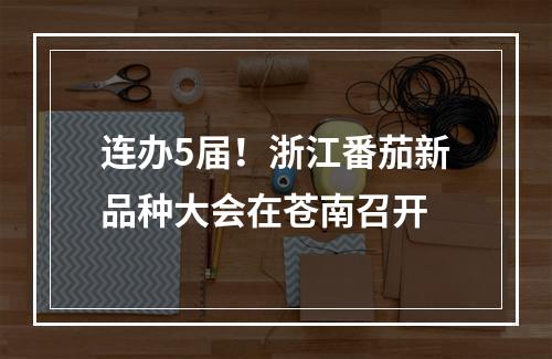 连办5届！浙江番茄新品种大会在苍南召开