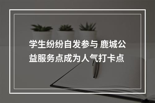学生纷纷自发参与 鹿城公益服务点成为人气打卡点