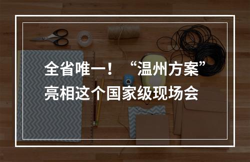 全省唯一！“温州方案”亮相这个国家级现场会