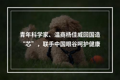 青年科学家、温商杨佳威回国造“芯”，联手中国眼谷呵护健康