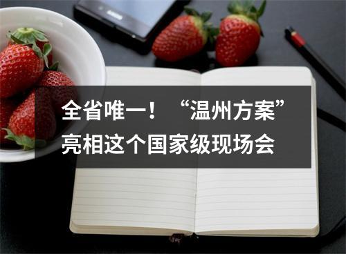 全省唯一！“温州方案”亮相这个国家级现场会