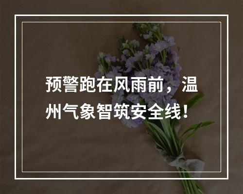 预警跑在风雨前，温州气象智筑安全线！