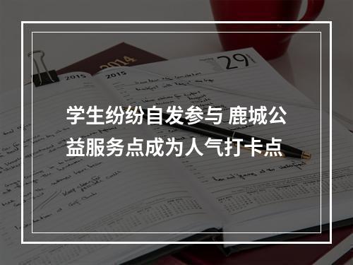 学生纷纷自发参与 鹿城公益服务点成为人气打卡点