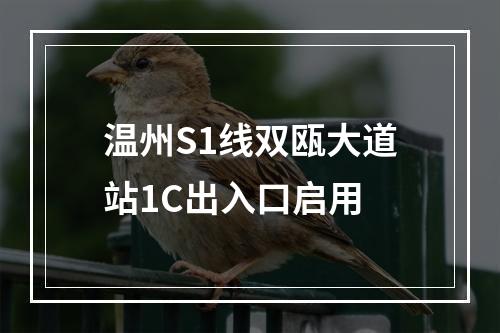温州S1线双瓯大道站1C出入口启用