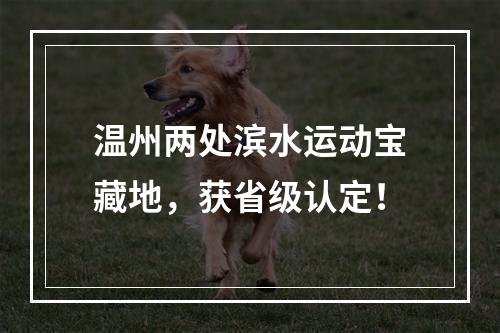 温州两处滨水运动宝藏地，获省级认定！